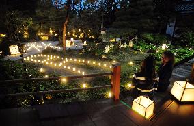 'Dry landscape' garden in Kyoto illuminated
