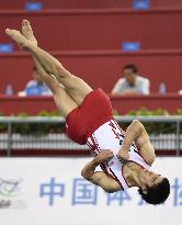 Japan's Shirai at gymnastics world championships