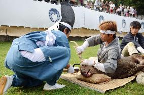 Antler-cutting ritual starts in Nara Park
