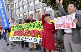 Citizens protest against Japan's secrecy law