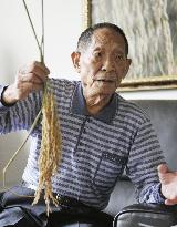 'Father of hybrid rice' still going strong