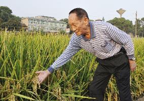 China's savior from famine misses Nobel Peace Prize