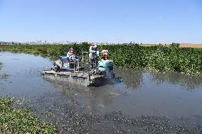 TURKEY-ISTANBUL-MOSQUITOES-DISINFECTION