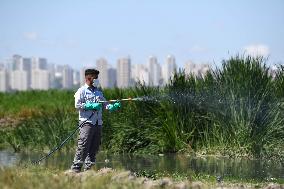 TURKEY-ISTANBUL-MOSQUITOES-DISINFECTION