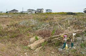 Demarcation project starts in tsunami-hit Japan city
