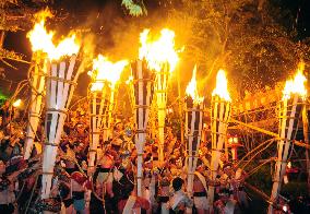 Huge torches light up night sky at Kyoto fire festival