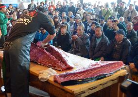 Crowd gathers for tuna-filleting show in northern Japan