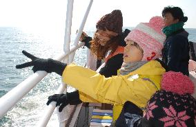 Citizens look for whales on ecological voyage off Kushiro