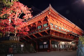 Nikko's World Heritage temple partially lit up
