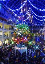 Giant Christmas tree appears at Sapporo mall