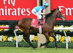 Japanese favorite Admire Rakti dies after Melbourne Cup