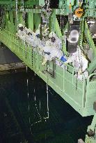 Spent fuel removed from Fukushima Daiichi No. 4 unit pool
