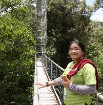 Ulu Temburong National Park in Brunei