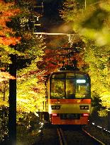 Kyoto train running through 'fall foliage tunnel'
