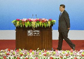 China's Xi says no need to fear China's slowing growth