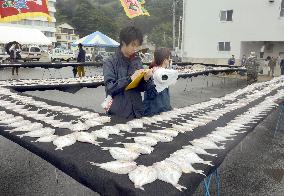 Dried red seabream lined up for world record