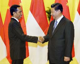 Chinese, Indonesian presidents hold talks in Beijing