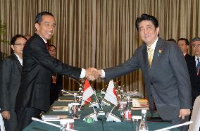 Japan, Indonesia leaders meet in Beijing