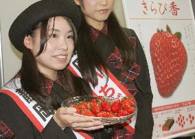 Shizuoka to test market new strawberry variety 'Kirapika'