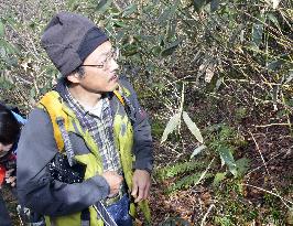 Expert surveys deer at World Heritage site in Japan