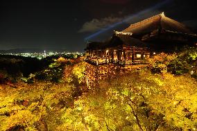 Kyoto's Kiyomizu temple lit up