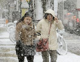 Snowing in Hokkaido