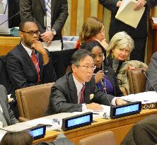 N. Korea's rights violations condemned by U.N. panel