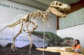 Tarbosaurus fossil returns to Mongolia