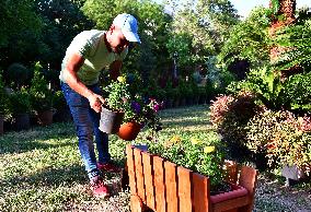 SYRIA-DAMASCUS-FLOWERS-FAIR