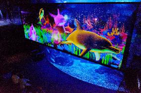 3D projection images shown at Kyoto aquarium