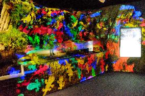 Colorful salamander images shown at 3D projection event