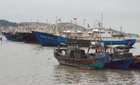 Some coral poaching ships return to Chinese port