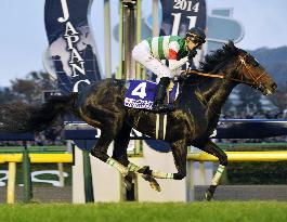 Epiphaneia wins 34th Japan Cup