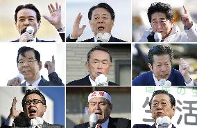 Campaigning begins for Japan general election