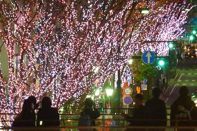 Lights lit to recreate row of cherry trees in vacated zone