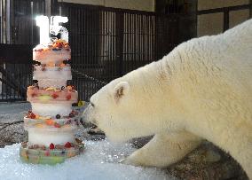 Birthday cake for polar bear