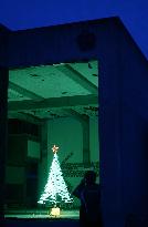 Christmas tree lit up at tsunami-ruined school