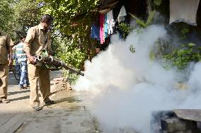 Mumbai's 'ounce of prevention' against dengue virus