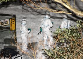 Pathogenic bird flu strain detected at Japan poultry farm