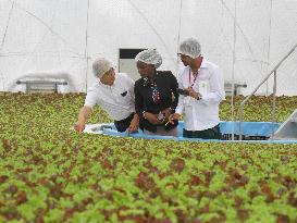 African students learn indoor farming in Japan