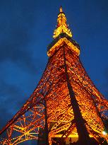 Tokyo Tower still popular after ceding relay role