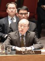 China against taking up N. Korean human rights issue at UNSC