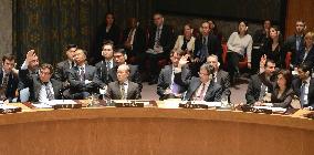 U.N. Security Council debates N. Korea human rights