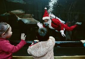 Diver in Santa Claus costume greets visitors at aquarium