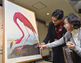 Audubon's 'Birds of America' reproduced in Japan