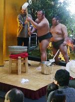 Sumo wrestlers entertain tourists with "mochitsuki" performance