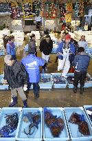 1st auction at temporary fish market in Miyagi
