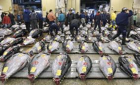 Bluefin tuna fetches 4.5 mil. yen at Tokyo auction