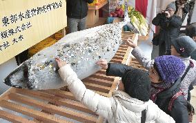 People wish for growth of business at Nishinomiya Shrine