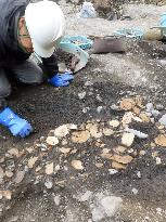 Massive pottery plates found from over 70 holes in Kyoto